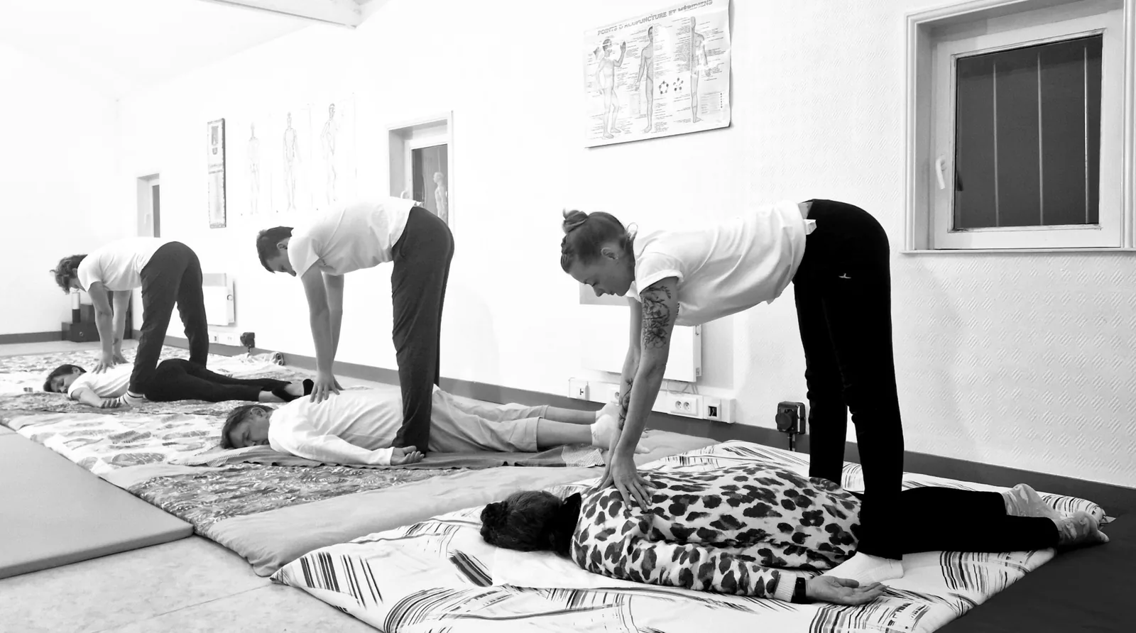 Formation Formation Intensive & Modules - Shiatsu Nord